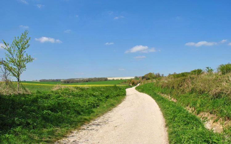 The Run, West Lavant Chichester Zewnętrze zdjęcie